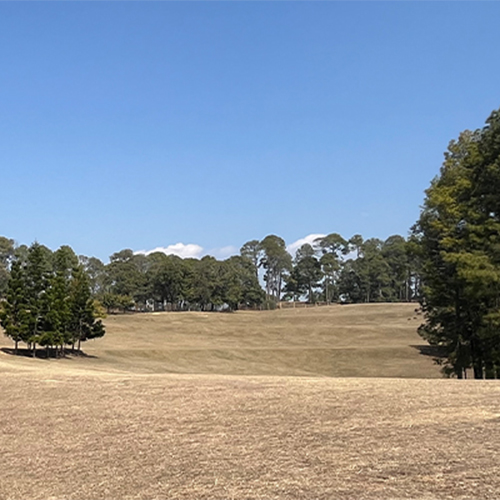 Ranikhet Golf Course